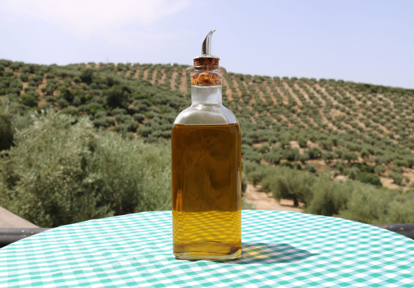 Aceite de oliva virgen extra Sierra de Tentudía – Dehesa de Monesterio