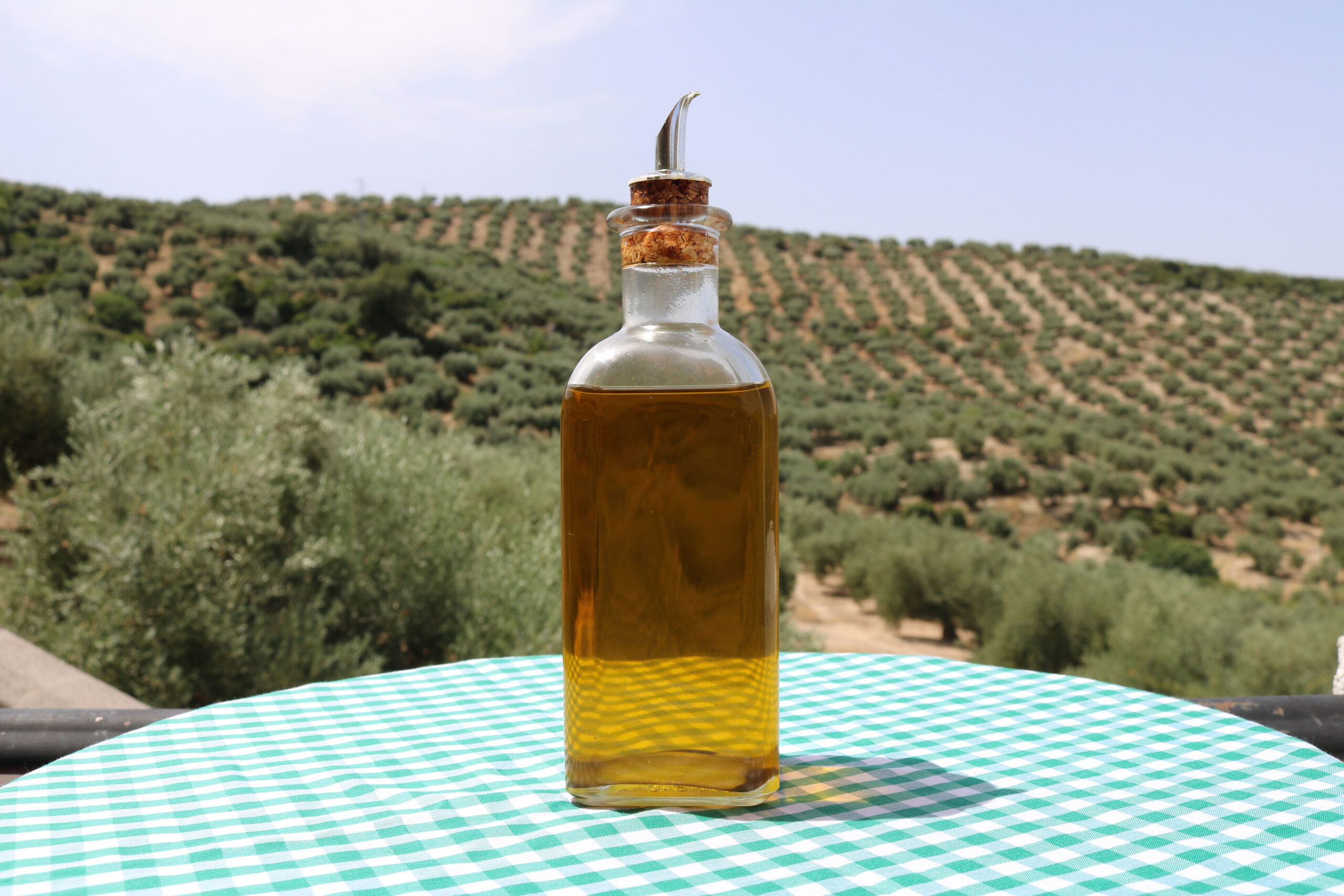Aceite de oliva virgen extra Sierra de Tentudía – Dehesa de Monesterio